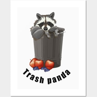 Trash panda Posters and Art